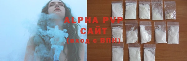 прущие грибы Балабаново