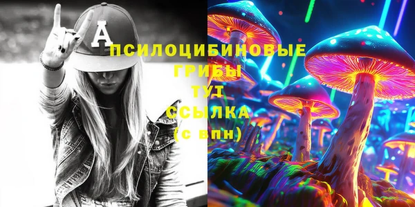 прущие грибы Балабаново