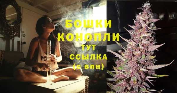 прущие грибы Балабаново