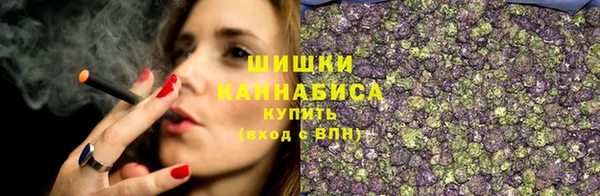прущие грибы Балабаново