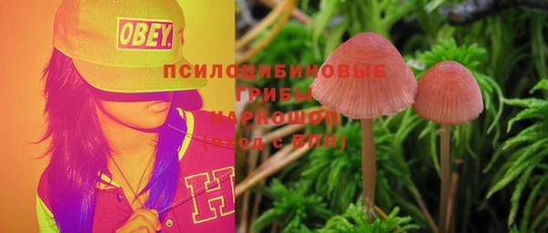 тгк Баксан