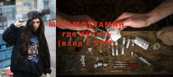 прущие грибы Балабаново