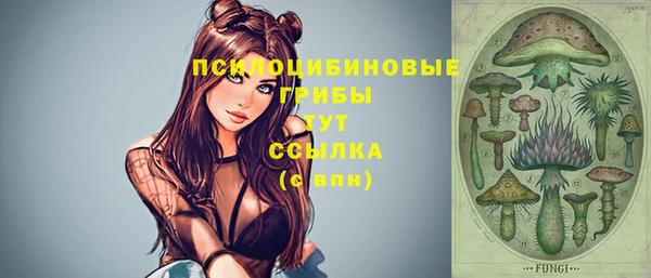 тгк Баксан